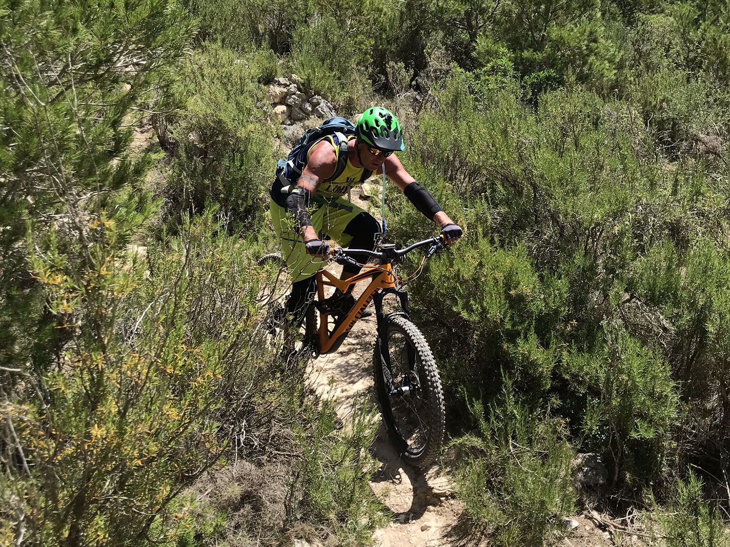sierra mtb