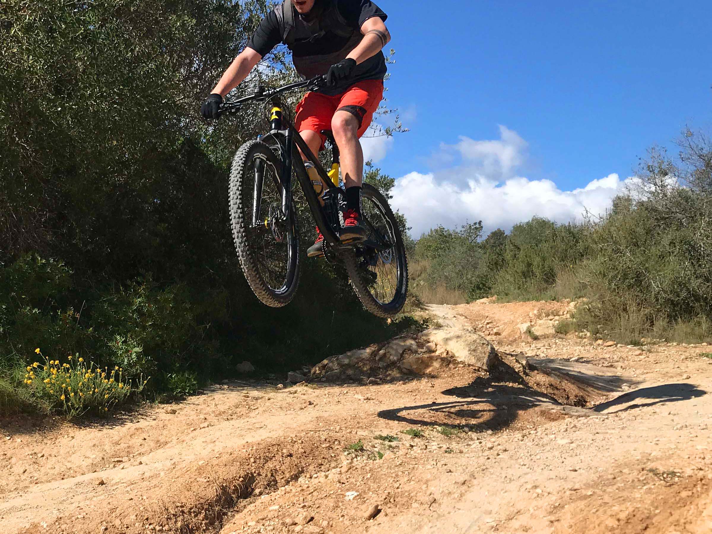 enduro downhill bike